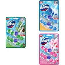 Prime Domestos Wc Blok 5'li Güç Çam Ferahlığı 110 gr Ikili Paket+ Tuvalet Bloğu MANOLYA100 G+ Okyanus Ferahlığı