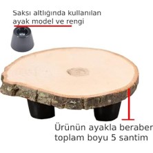 Prime Ağaç Saksı Altlığı Ayaklı Çapı 14-16 Santim