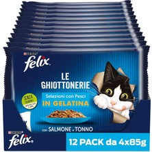 Prime Felix Somonlu Kedi Yaş Maması Avantajlı Paket (48 x 85 Gr)