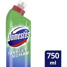 Prime Domestos Tuvalet Temizleyici Renk Değiştiren Tuvalet Uzmanı Kireç Çözücü 750 ml 1 Adet