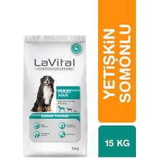 Lavital Maxi Adult Orta&Büyük Irk Yetişkin Somonlu Kuru Köpek Maması 15 Kg