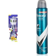 Prime Signal Performans Etkin Diş Temizliği 2+1 Orta Diş Fırçası ve Rexona Men Erkek Sprey Deodorant Invisible & 72 Saat Kesintisiz Üstün Koruma 200 ml