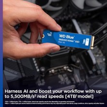 Prime Digital Blue SN5000 Nvme SSD M.2 2280 1 Tb (5.000 Mb/sn'ye Kadar Okuma 4.000 Mb/sn'ye Kadar Yazma) - WDS100T4B0E