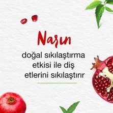 Prime Himalaya Since 1930 Komple Bakım Bitkisel Diş Macunu, Florürlü, Parabensiz, Vejeteryan, Güçlü Dişler, 75 ml