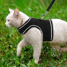 Prime Bypet Yeni Nesil Nefes Alabilen Kedi Göğüs Tasması Seti (Small, Siyah)