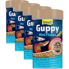 Prime Yem Guppy 100 ml (4 Paketi)