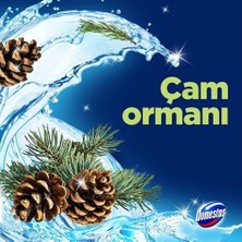 Prime Domestos Tuvalet Bloğu Çam Ormanı 5'li Güç, 250 Gram