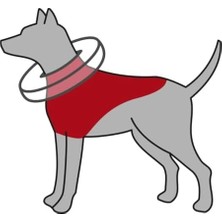 Prime Köpek Koruyucu Şişme Yakalık Xs, Mavi