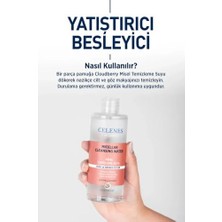 Prime By Sweden Cloudberry Misel Temizleme Suyu Kuru ve Hassas Ciltler, 400 ml