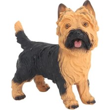 Prime Model Köpek Sarı Siyah Yorkshire Terrier