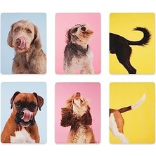 Prime Teach Yourself Dog: A Memory Game