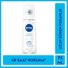 Prime Böğürtlen Dudak Bakım Kremi 4.8 gr + Pump Sprey Deodorant Fresh Natural 75ML + Vücut Losyonu Aloe 400 ml