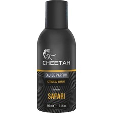 Prime Citrus & Erkek Parfüm 100ML