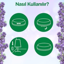 Prime Air Wick Jel Stick Up Küçük Alanlara Özel Oda Kokusu Lavanta 60 Gün Etkili