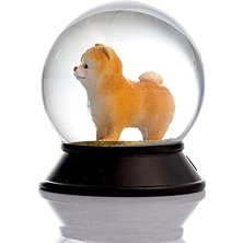 Prime Cam ve Reçine Altın Patiler Köpek Pomeranian Boo (Kayısı) Kar Küresi Hediye