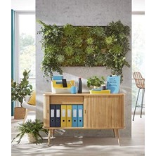 Prime Cosy Mybox® Kulplu Geniş Düzenleme Aparatı