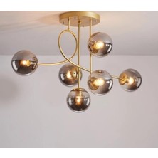 Prime Fer Avize Jade 6'li Özel Tasarim Modern Spor Gold Renk Glop Füme Camlı Salon - Mutfak - Yatak Odası Avize