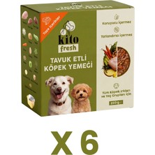 6 Adet Kito Fresh Tavuk Etli Köpek Yemeği %100 Taze İçerikli Mama (1,5 KG)