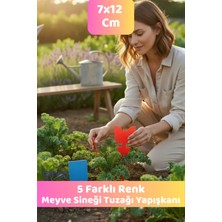 5 Adet Çift Taraflı Saksı Sinek Kovucu Meyve Sineği Fungus Sineği Yapışkan Tuzağı