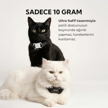Köpek Aicattag Tasma,kedi Tag,hayvan Takipcihazı,tag Pet Tasma Ios&androiduyumlu