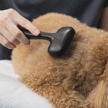 Vuralsin38 Tweezerman Küçük Evcil Hayvanlar Için Köpek ve Kedi Slicker Fırçası, Çizilmeyi ve Ergonomik Sapı Önlemek Için Kaplamalı Kıllı Bakım Fırçası