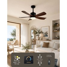 Hoogar German Brown+Black 2026 Yeni Compact Tasarım 105 cm 5 Kanatlı Dc Sessiz Motor Tavan Vantilatörü Dim Ayarlı