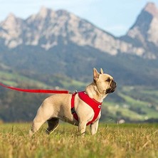 Vuralsin38 Basic Harness Air-Mesh Red S