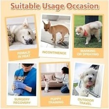 Vuralsin38 Petsoft Köpek Tuvalet Bez Kedi Tuvalet Bez Çiş Bezi X-Large 12 Adet