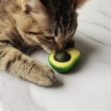 Model Yapışkanlı Kedi Oyuncağı Yenilebilir Kedi Nanesi Otu Catnip Oyun Yalama Topu (1)