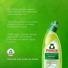 Vuralsin38 Frosch Limonlu Wc Temizleyici 750 ml