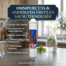 Omnipure CL10/RO T33 2'' 10 " Coconat Post Karbon Filtre