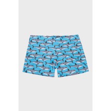 Slipstop Santana Junior Desenli Lastikli Bel Boxer Mayo Short Erkek Çocuk Mayo Short SR2631000008