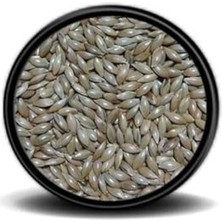 Die Grup -Sade Kanarya Yemi (Aspur)1 kg