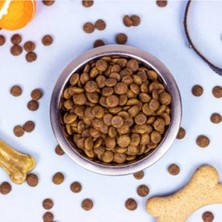 die grup mito adult cat tavuklu yetişkin kedi maması 5 kg 