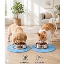 Die Grup Silikon Mama Matı Kedi & Köpek Için | Kaymaz, Yıkanabilir, Havuzlu Mama Altlığı (Mavi)