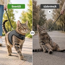 Die Grup 3 Kat File Yeni Nesil Nefes Alabilen Kedi Göğüs Tasma 3'lü Set Siyah Siyah M