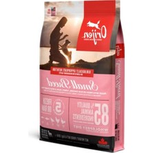 Die Grup Small Breed Puppy & Adult Köpek Maması 4,5 kg
