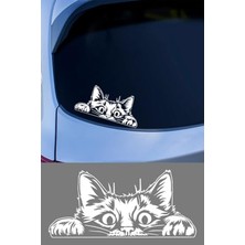 Die Grup Bagajdan Bakan Kedi Oto Araba Sticker, Cam ve Metal Yüzeye Uygun, Vinil, Düz Desen, Mat, 15X15 Cm, Kendinden Yapışkanlı (Beyaz)