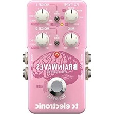 Die Grup Braınwaves Pıtch Shıfter Pitch Shifter Pedalı