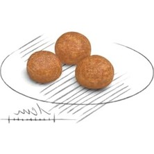 Die Grup Royal Canin Xsmall Adult Köpek Maması, 1,5 kg