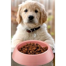 Die Grup Büyük Boy Mama Kabı Su Kabı Evcil Hayvan Kedi Köpek Mama Kabı Çok Renkli 21CM Çap 1440
