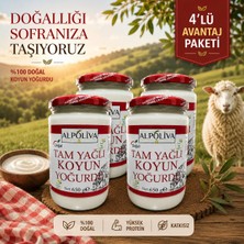 ALPOLİVA Koyun Yoğurdu (4 Adet) x 650 G TOPLAM:2.600G.