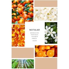 Ixora K284 Fantastic Kadın Parfüm 100 ml Edp