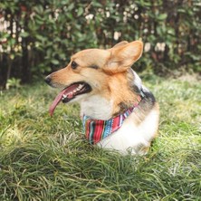 Mabelme Urban Style Jazz Strıpes Bandana Collar (S)