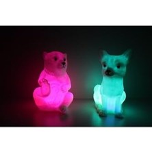 Kutup Ayısı ve Kar Tilkisi Rcb Renk Değiştiren LED Gece Lambası