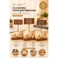 Lumis Home 3'lü Motto Kartlı Kedi Biblo Seti - Dekoratif Figür
