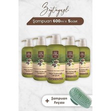 Zeytinyağlı Şampuan 600 ml x 5 Adet ve Şampuan Fırçası