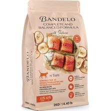 Al-Kar Ticaret Kısırlaştırılmış Somonlu Yetişkin Kuru Kedi Maması 2 kg - Vitamin Ilaveli Tam ve Dengeli Kilo Kontrolü, Yüksek Hayvansal Protein Içerikli Kuru Mama