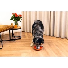 Al-Kar Ticaret Yavru Köpek Mama Yeme Oyuncağı, Silikon, Kırmızı, 19CM