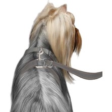 Al-Kar Ticaret Thunderleash Çekilmez Köpek Tasma (Büyük (11 Kg) Üzeri), Gri)